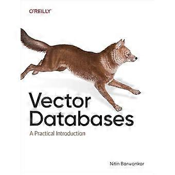 Vektordatabaser: en praktisk introduksjon
