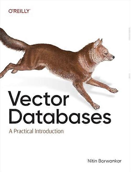 Vector Databases : a Practical Introduction