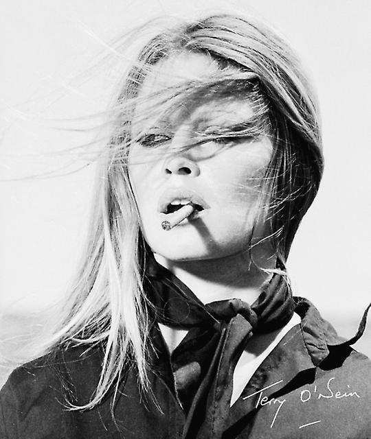 Terry O'neill by Terry O'Neill Hardback Book