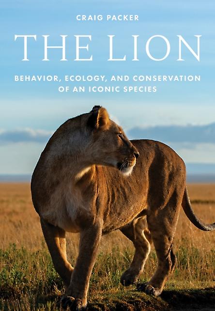 The Lion by Craig Packer Hardback Book