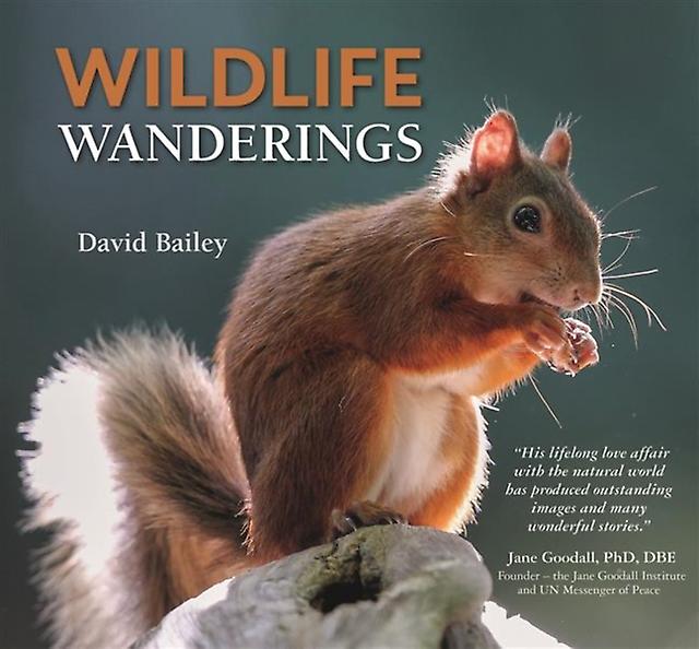 Wildlife Wanderings by David Bailey Hardback Book
