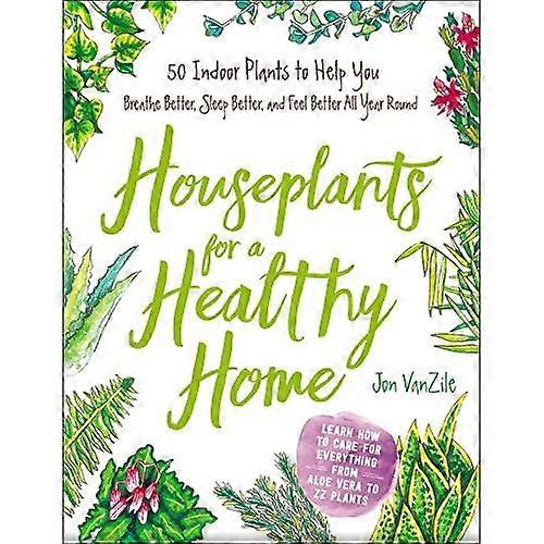 Plantas de interior para un hogar saludable