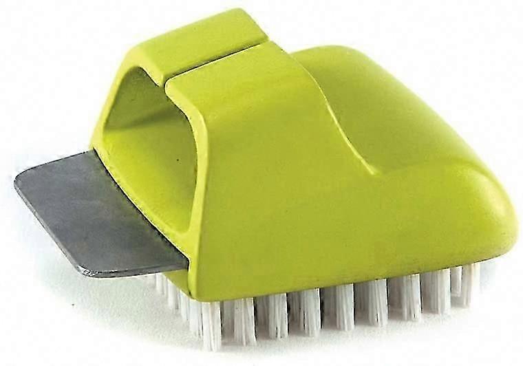 CC4108 Salt Block Cleaning Brush