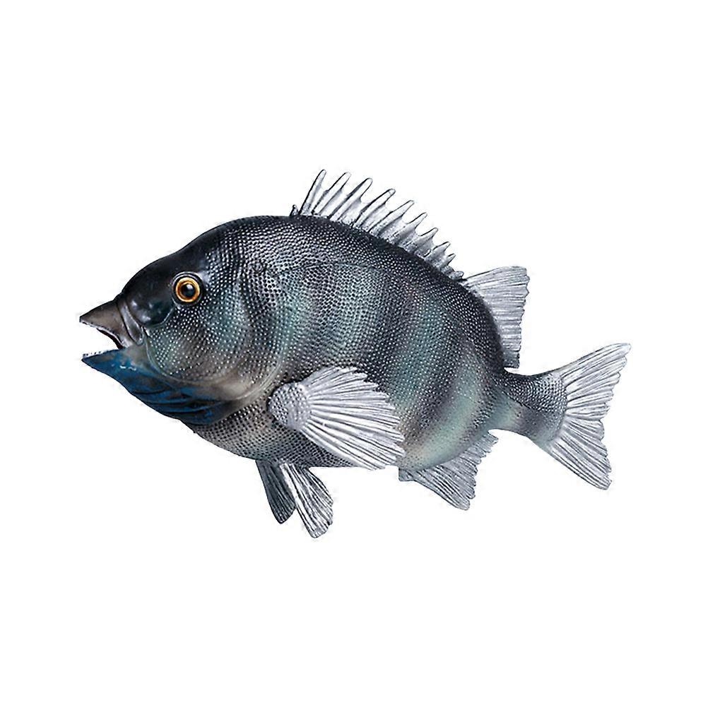 Simulation Rock Bream Fish Model Plastic Decor for Decoration