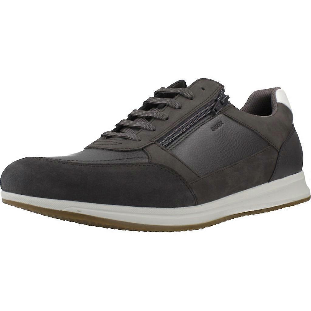 Geox Sport / U Avery Schoenen