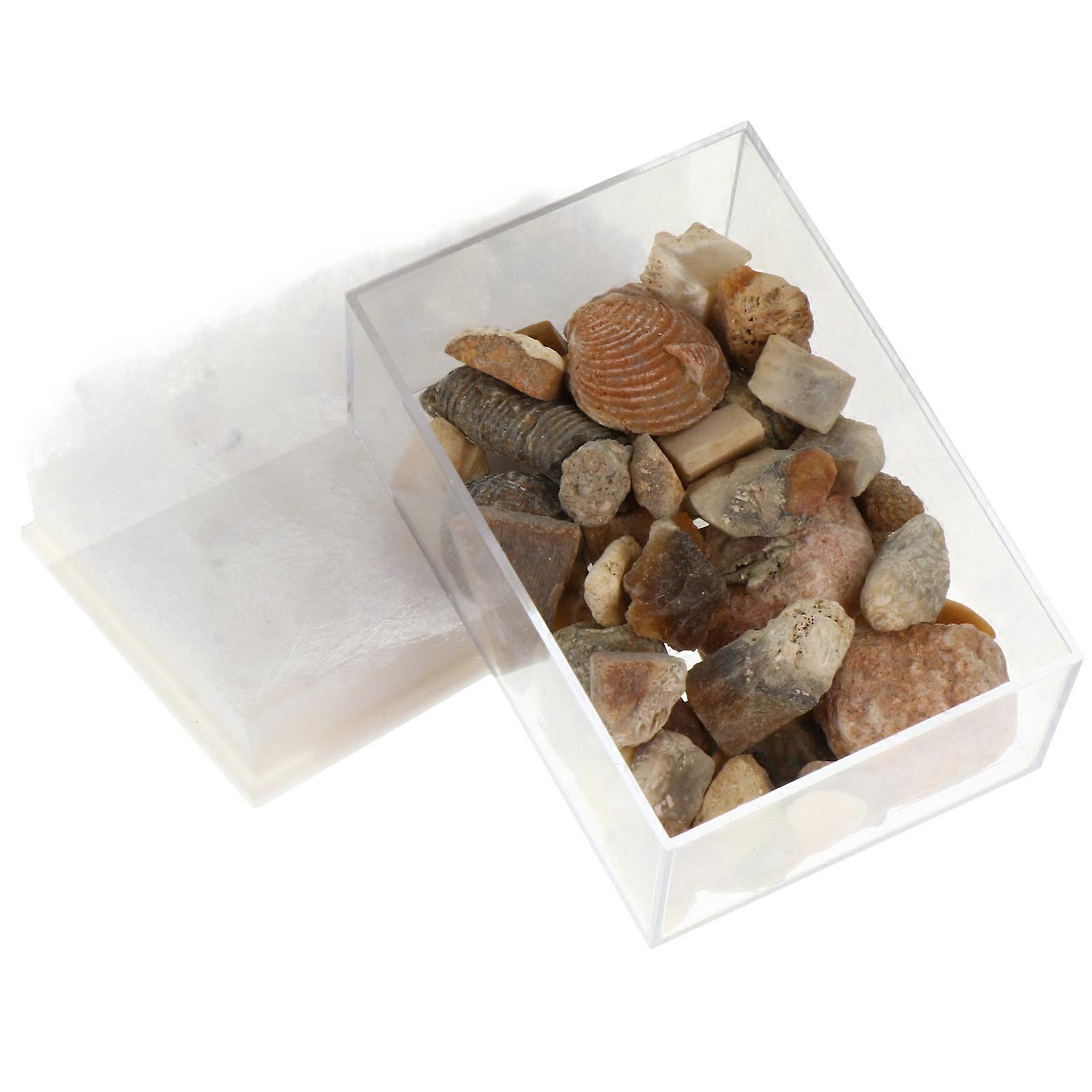 Natural Ore Stone Samples for Home 1 Box Minerals Set