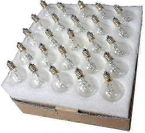 E12 7W G40 Compatible Bulb 25 Pack for String Lights