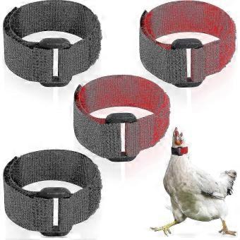 4pc Anti Corvo Collare Di Pollo Cintura Regolabile In Nylon Per Galli Da Compagnia