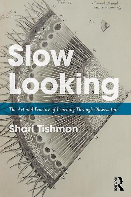Slow Looking by Shari Tishman Paperback