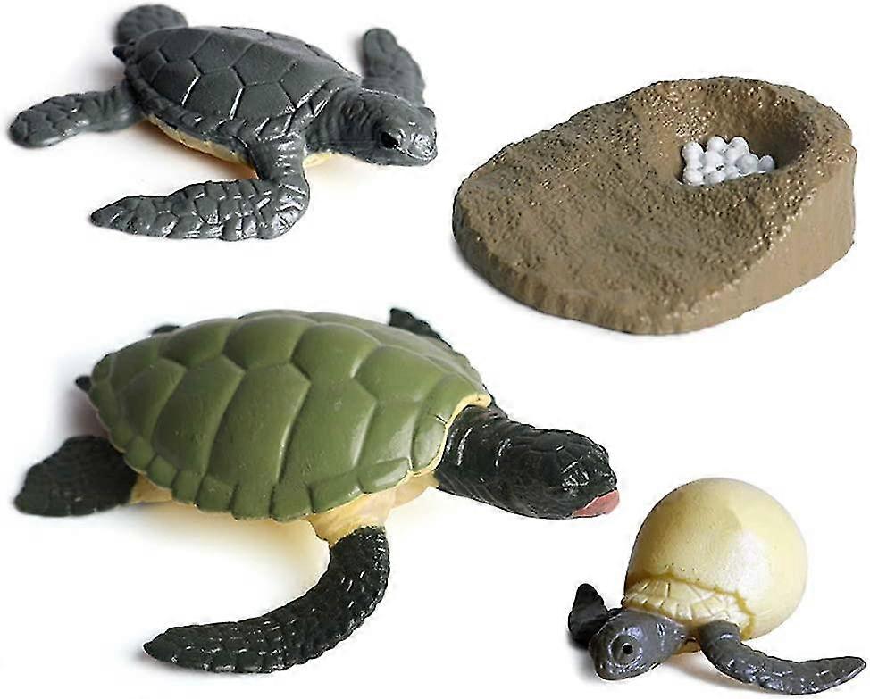 Children's Simulation Animal Growth Cycle Toy (turtle) 1 Set/YY