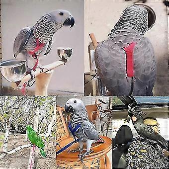Perroquet oiseau harnais laisse Extérieur Volant Traction Sangles Bande Réglable Anti-morsure Formation Corde