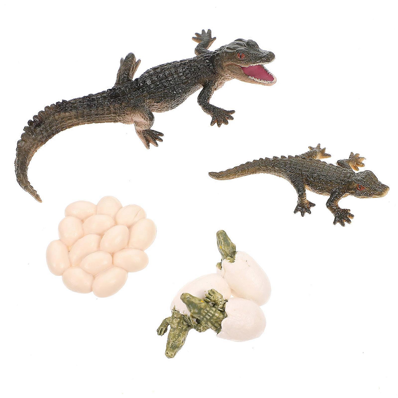 Cycle Figure Growth Model for Kids Playing 4Sets