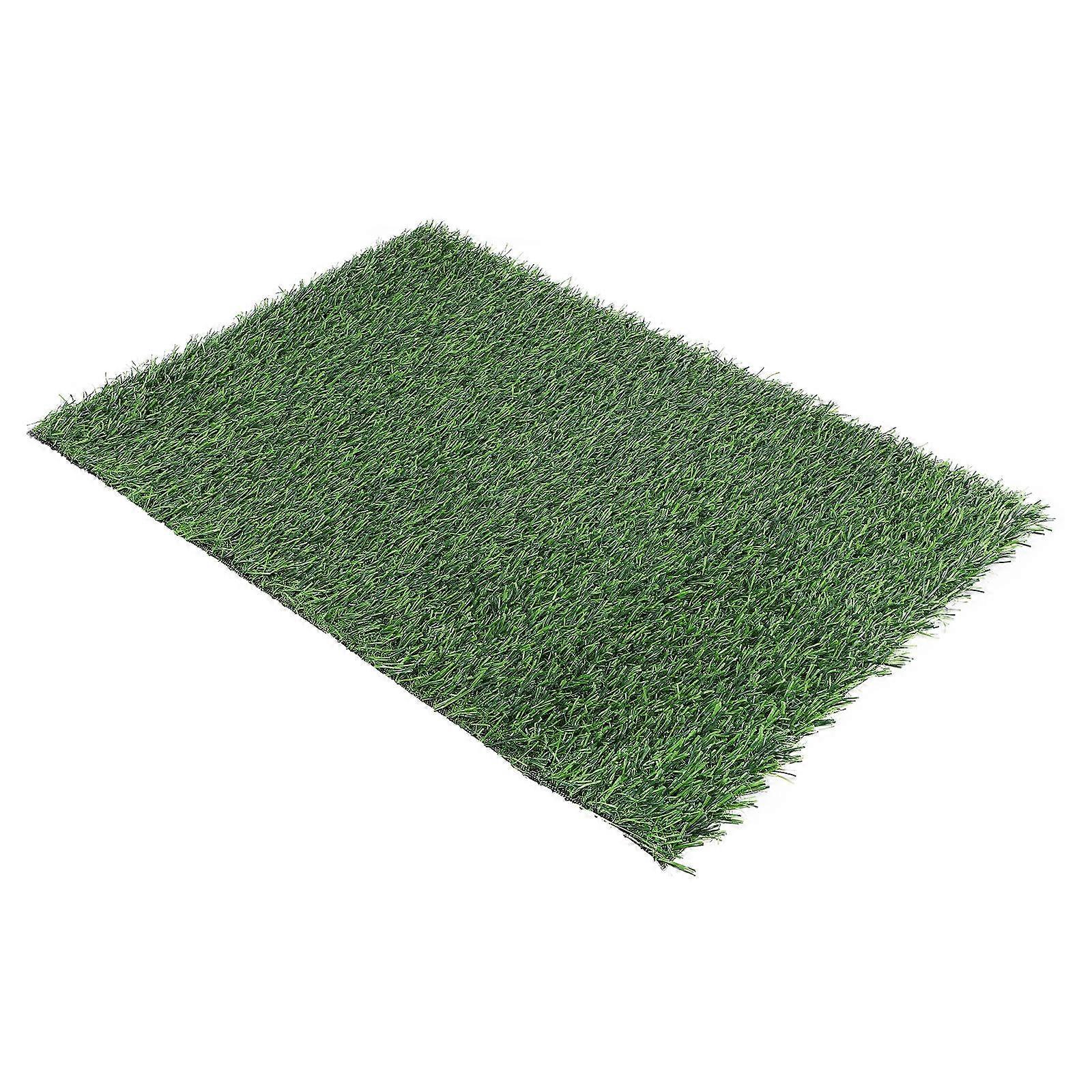 Artificial Grass Turf Mat for Home Use Featuring Front Door Application