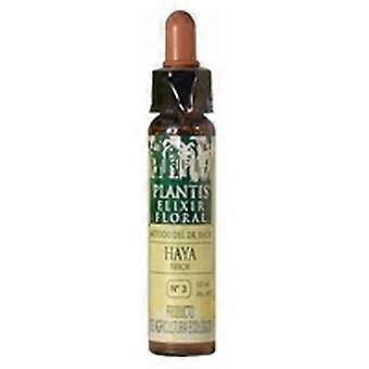 Beech No. 3 Eco 10 ml of floral elixir