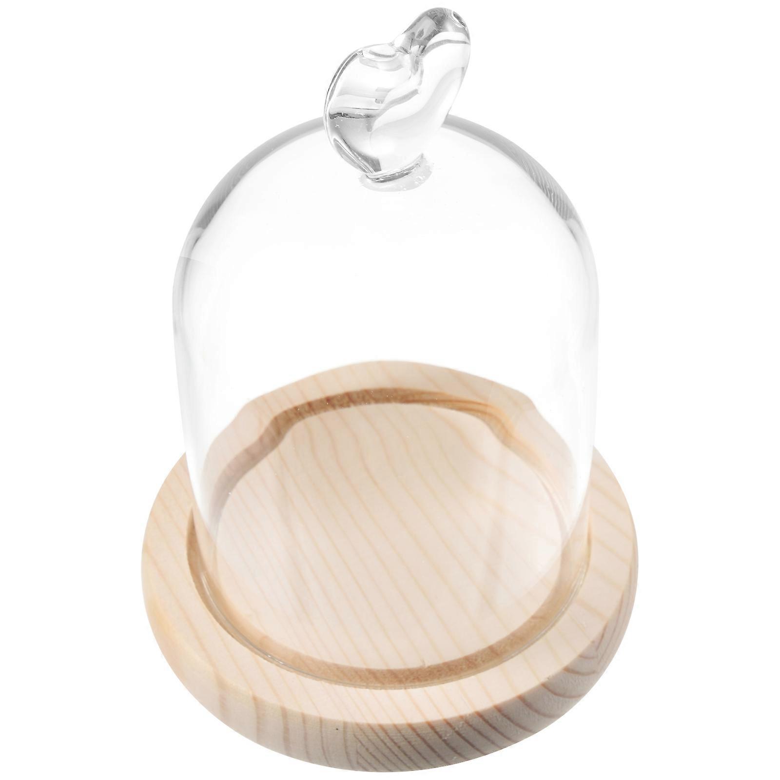 Cloche en verre transparent pour présenter des fleurs séchées