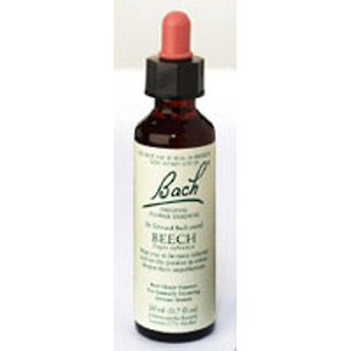 Bach Flower Essence Beech ,20 ML