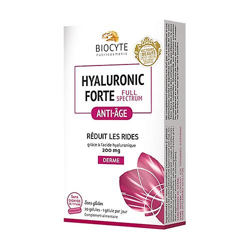 Hyaluronic Forte Full spectrum 30 capsules