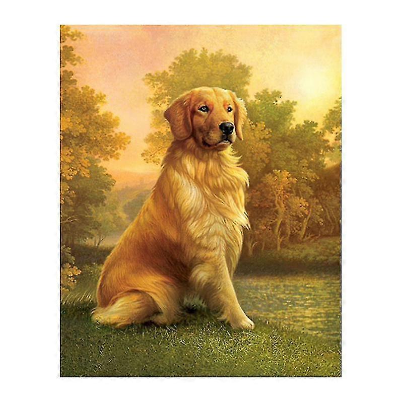 Diy Painting,diamont Painting,5d Diy Diamond Painting Golden Retriever