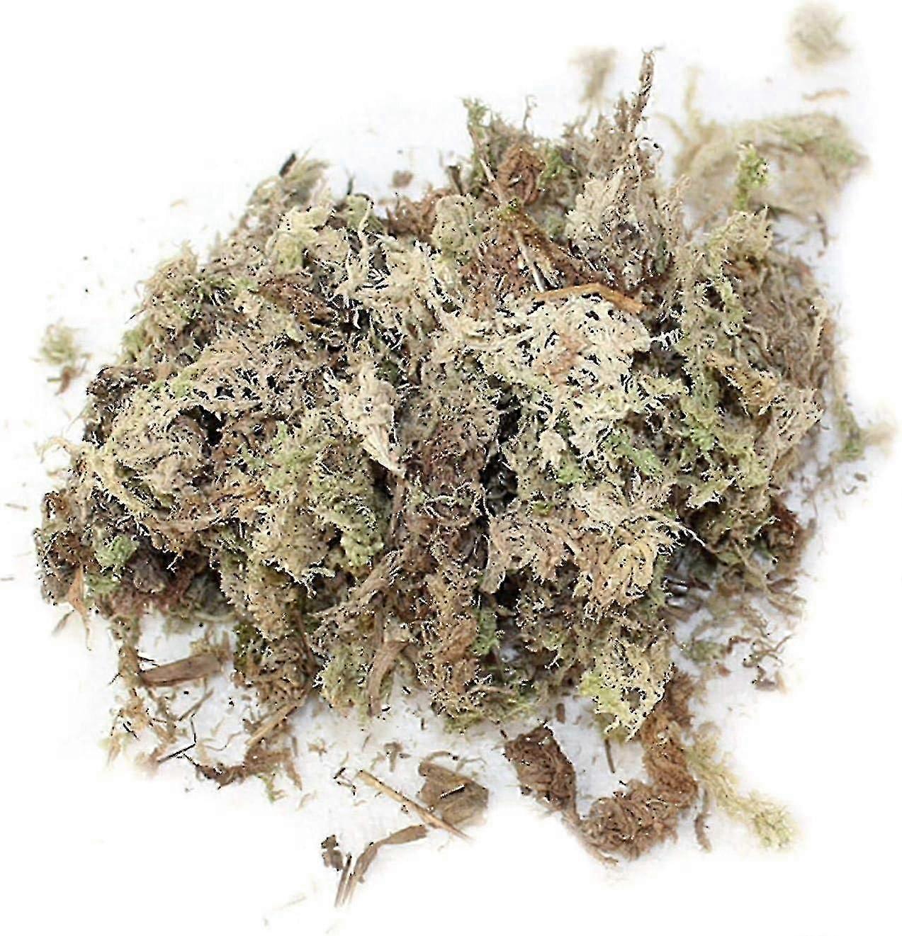 طحالب الطحالب الطازجة ، الطحالب الطبيعية المجففة لبساتين الفاكهة ، النباتات الاستوائية طحلب الماء الطحلب الجاف فالاينوبسيس بساتين الفاكهة الركيزة زراعة بدون تربة