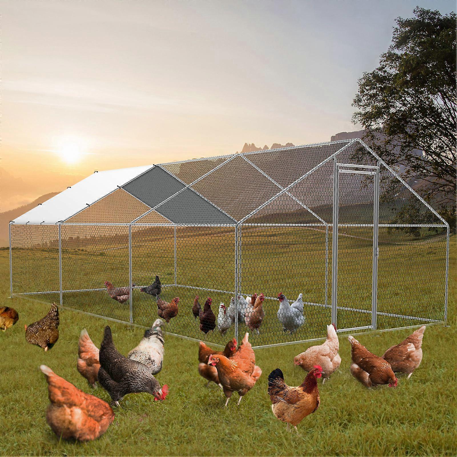 Metal Chicken Coop