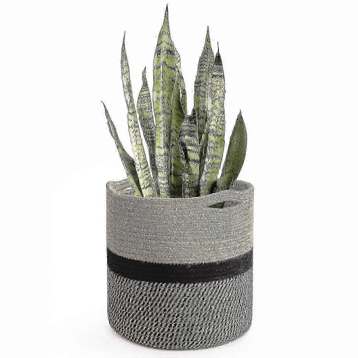 Cesta de Plantas Decorativas Modernas para Interior 11x11 Polegadas para Decoração de Casa Elegante