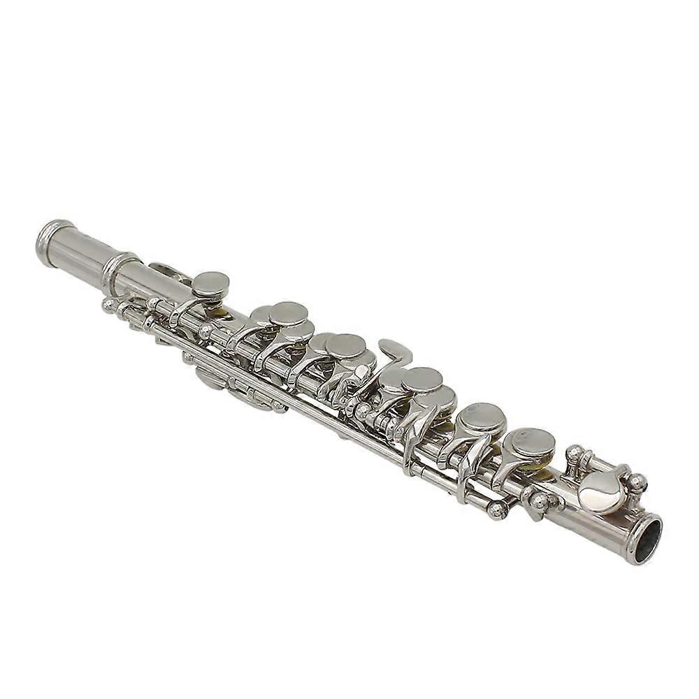 Silver Plated C Piccolo for Beginners with Cleaning Kit and Screwdriver, Ergonomic Keys