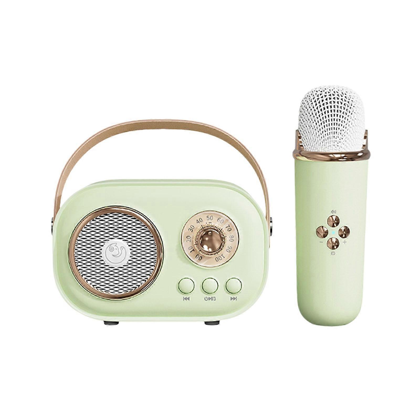Portable Karaoke Machine with Bluetooth Speaker & Wireless Mic, 6 Sound Modes, Compatible with iOS/Android