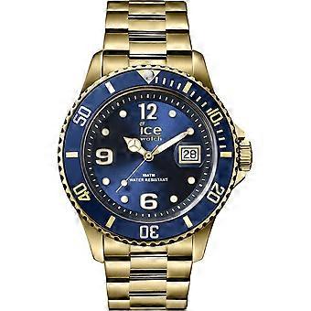 Ice Gold Stainless Steel IC016762 Reloj de hombre