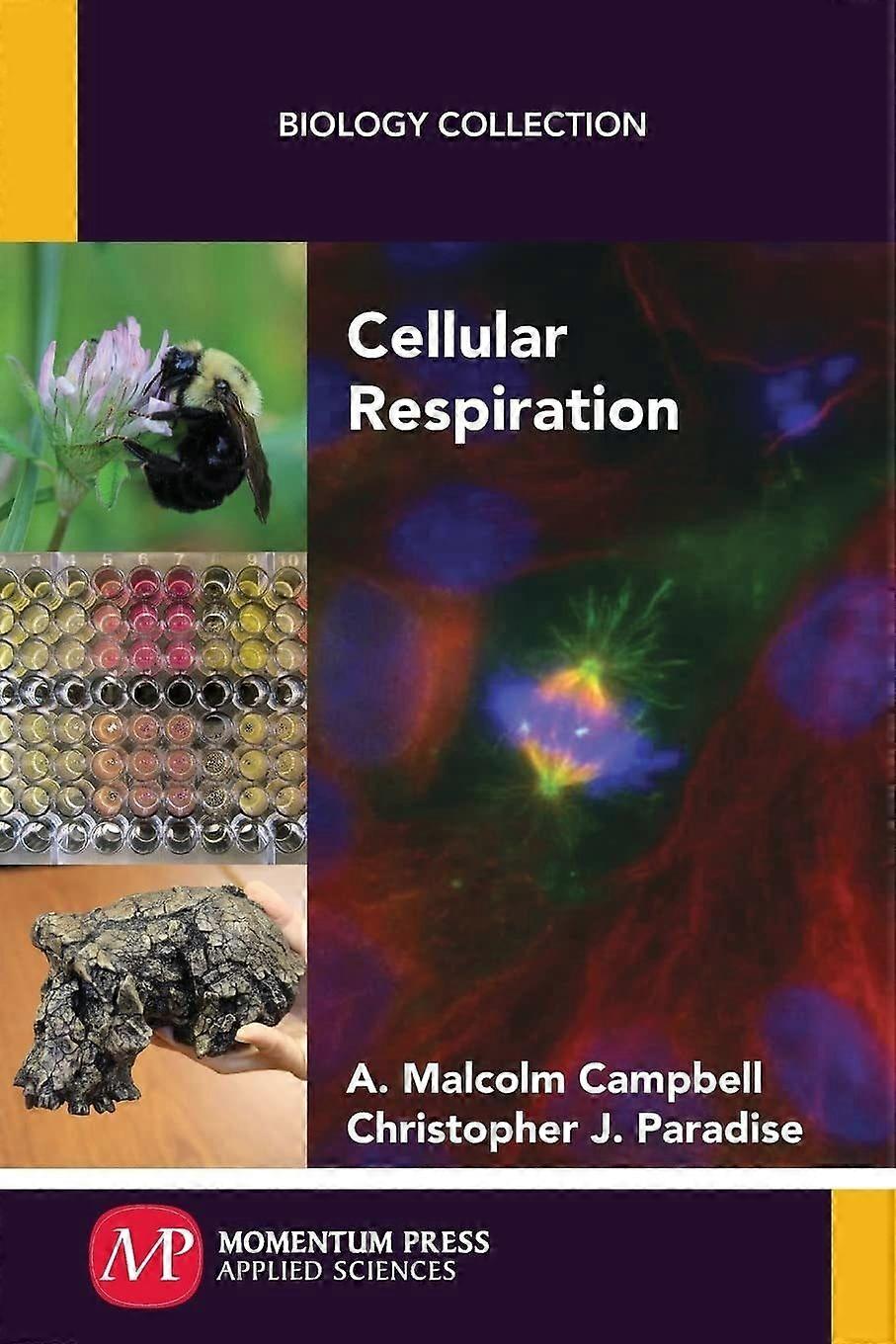 Cellular respiration