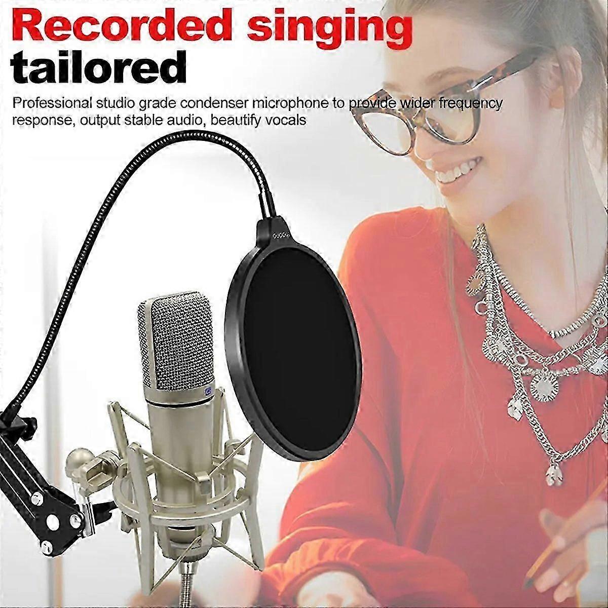 Metal Professional Condenser Microphone Studio Microphone