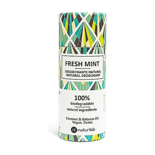 Deodorant stick Fresh mint 60 g (Mint)