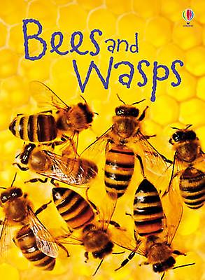 Bees And Wasps by James Maclaine Paperback Book