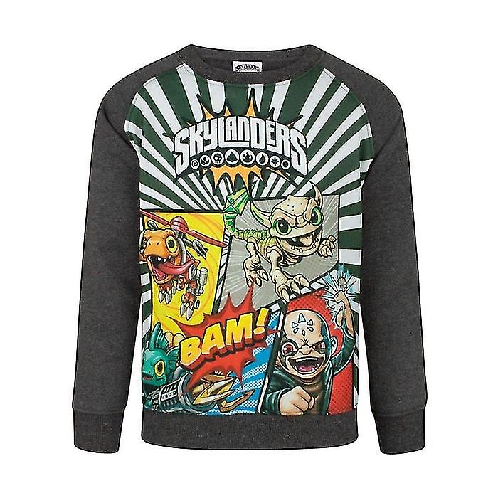Skylanders Boys Panel Sweatshirt