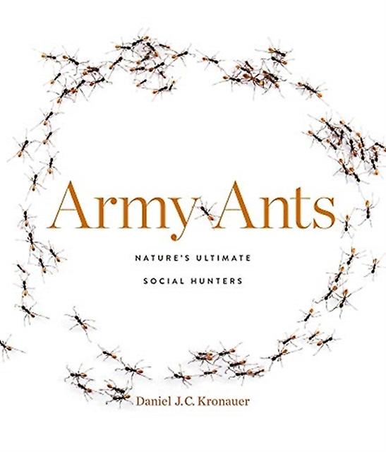 Army Ants - Daniel J. C. Kronauer - Popular science - Harvard University Press - Hardback