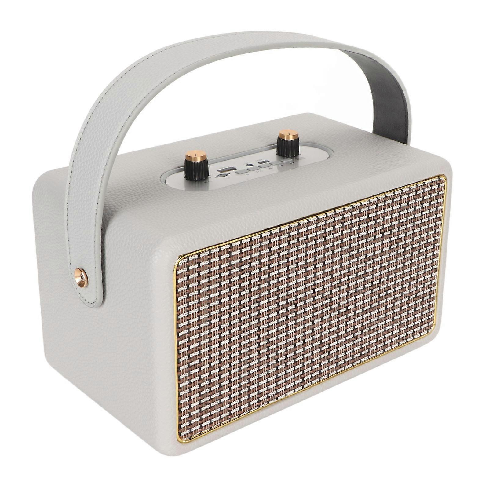 Portable Karaoke Machine PA System Support Memory Card USB AUX Input FM Bluetooth Karaoke Speaker with 2 Wireless Mic