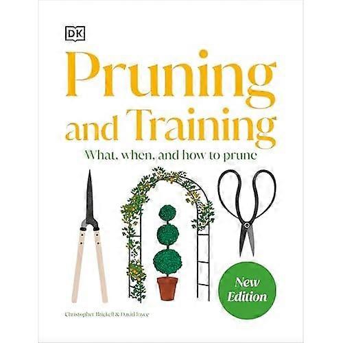 Pruning and Training : What, When, and How to Prune