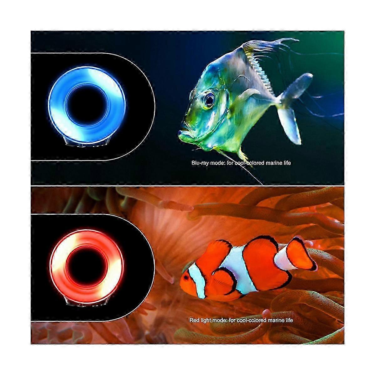 1200LM Ring Diving Fill Light Photography Waterproof Ring Light Direct Broadcasting Room Background