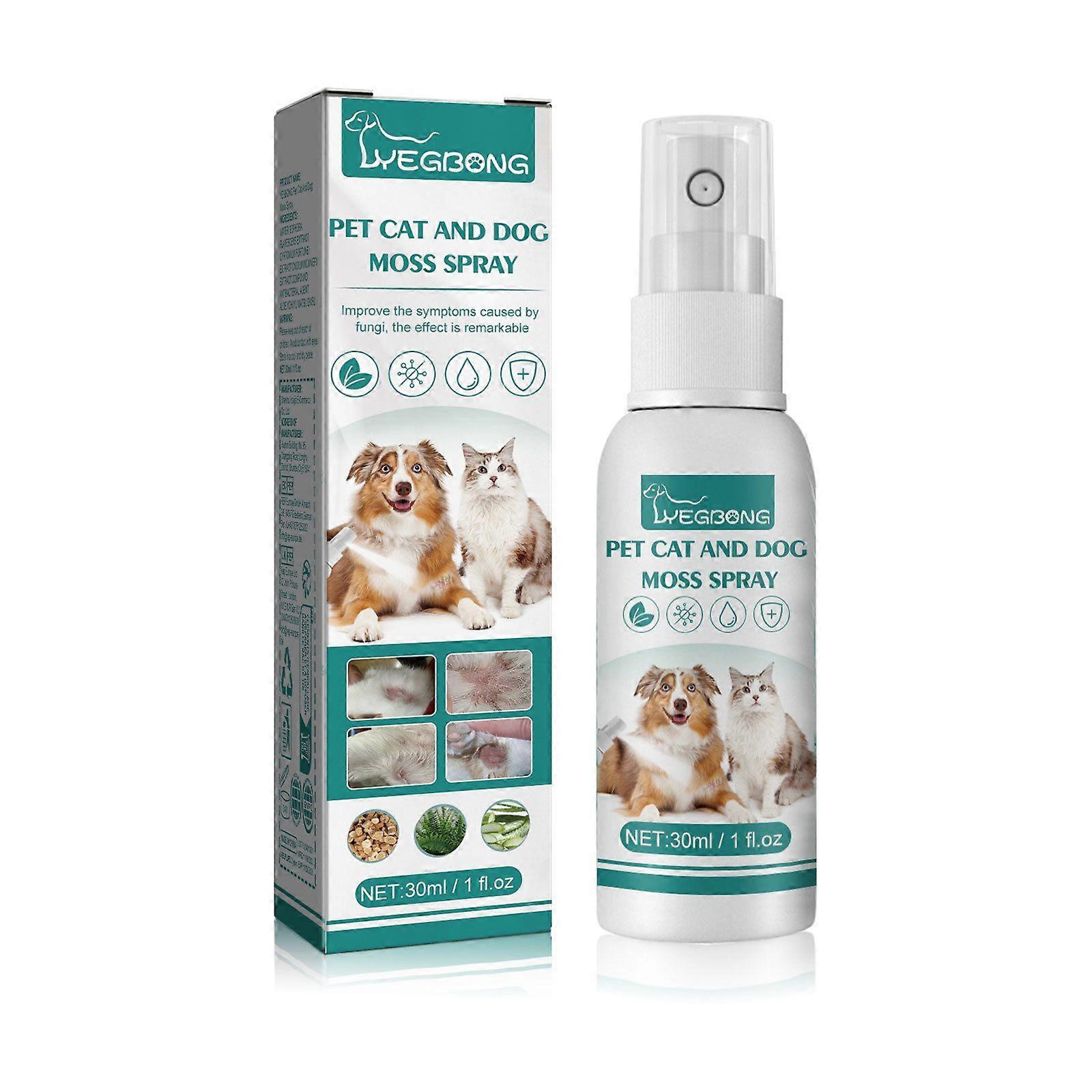 Yegbong Substrate Surface Spray | Environmental Maintenance Solution