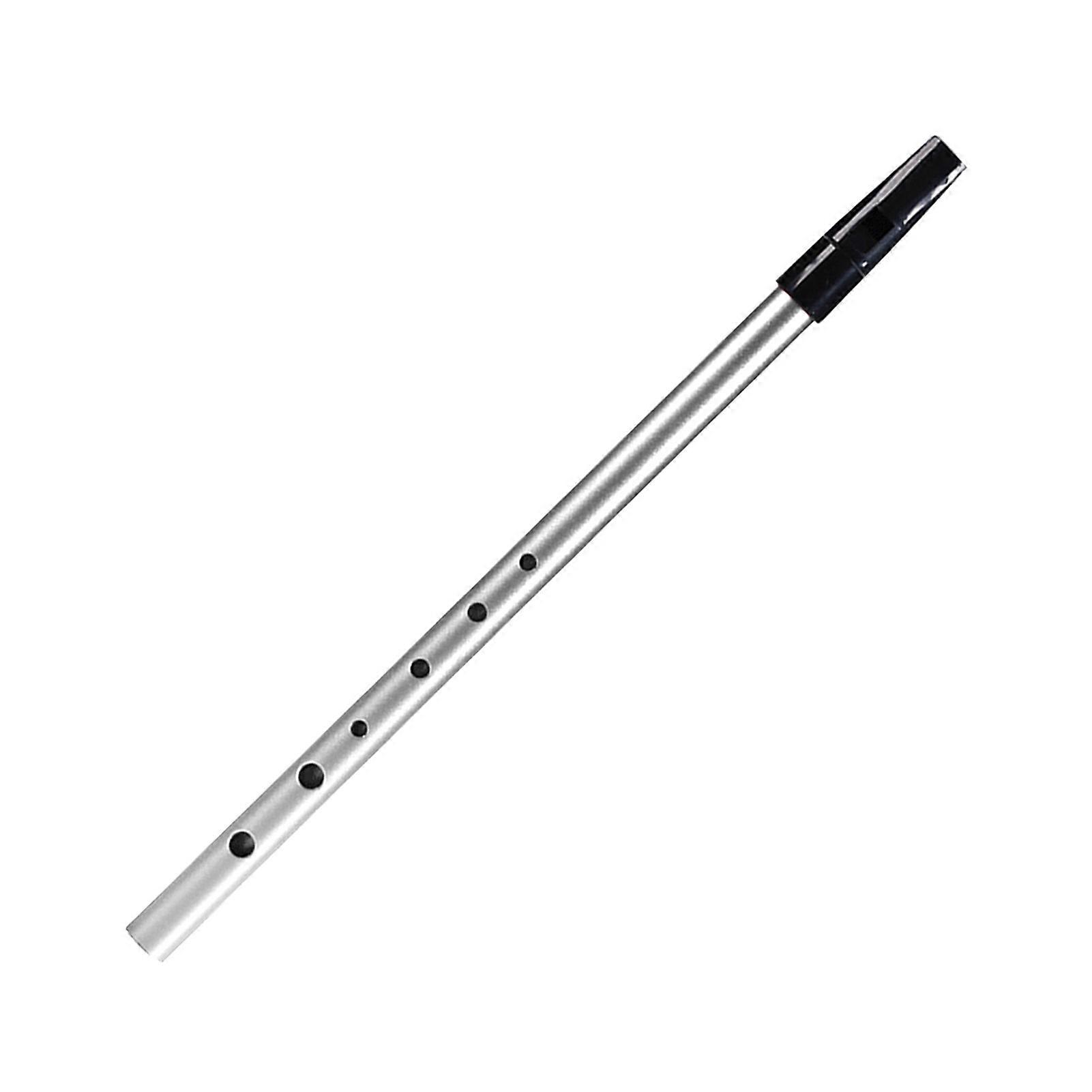 Irish Whistle C Key 6-hole Key of C 6 Holes Flute Penny Whistle Tin Whistle Wind Musical Instruments for Student Beginners Intermediates Experts O
