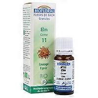 Elm Organic Granules 300 granules