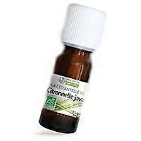 Java citronella essential oil 10 ml of essential oil