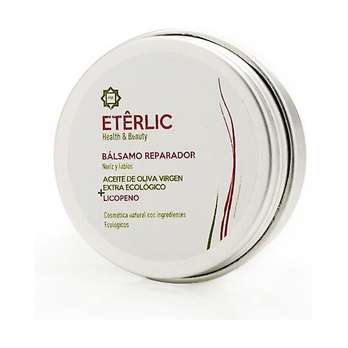 Organic Lip Balm 12 ml