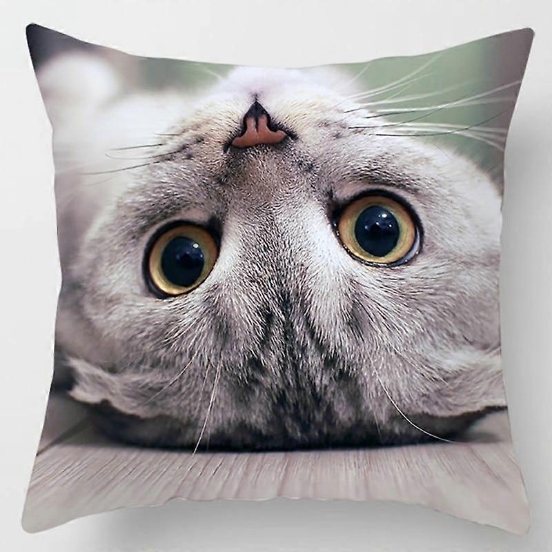 Cat Collection Pillowcase Home and Office Decor Square Pillowcase Design 1378