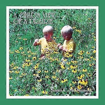 A Child's View of a Prairie