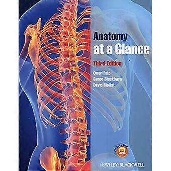Anatomy at a Glance