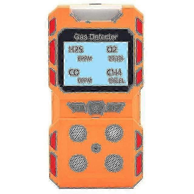 Portable 4 Gas Detector