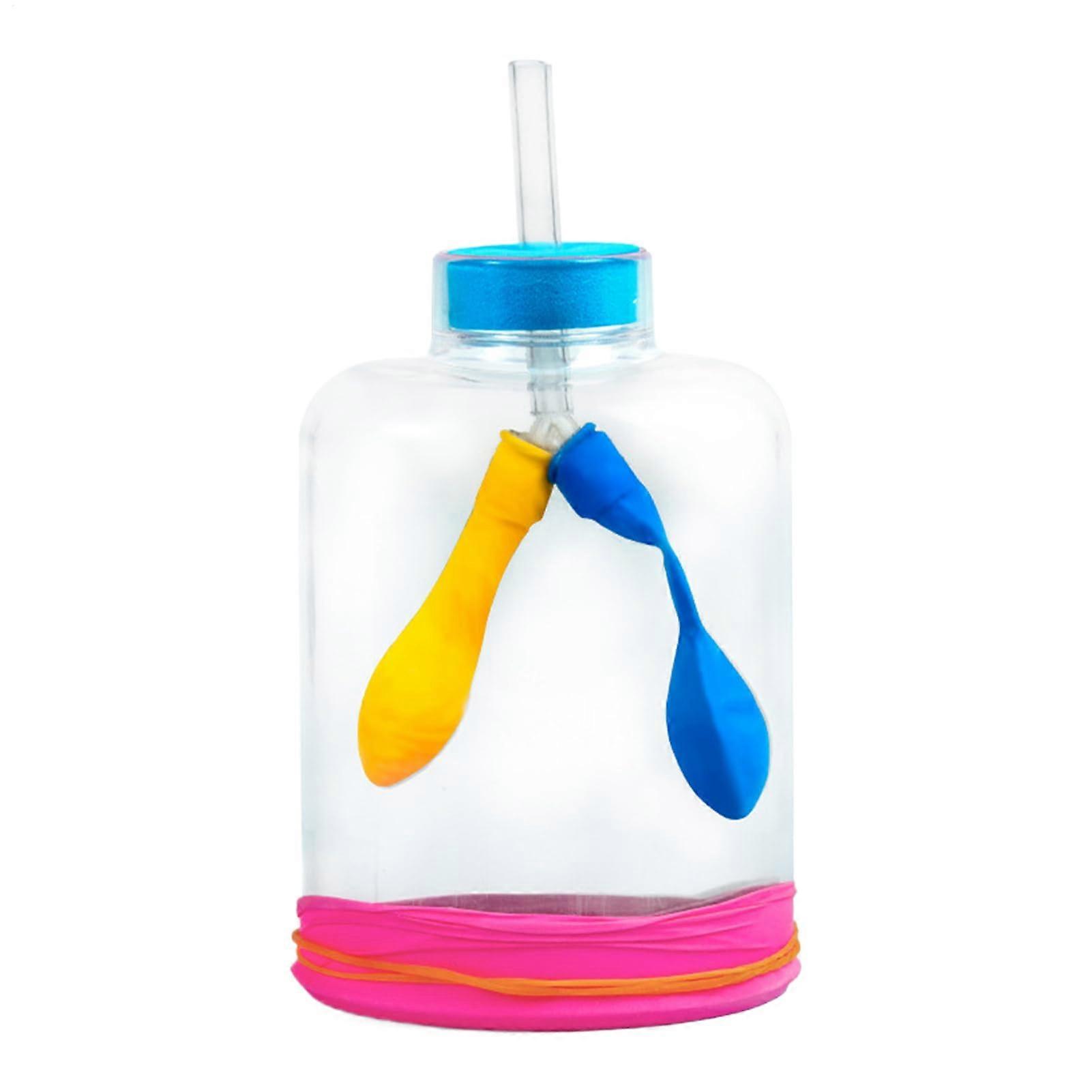 Respiratory model with detachable lungs for biology lessons