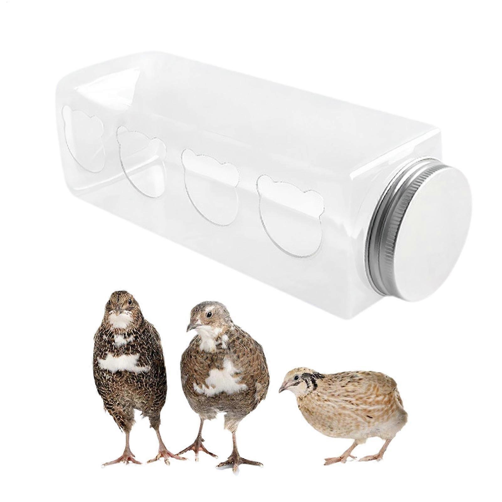 Quail Feeder No Waste Clear Bottle, 4 Feeding Holes, Portable Bird Feeder For Quails Budgies Chickens Finches