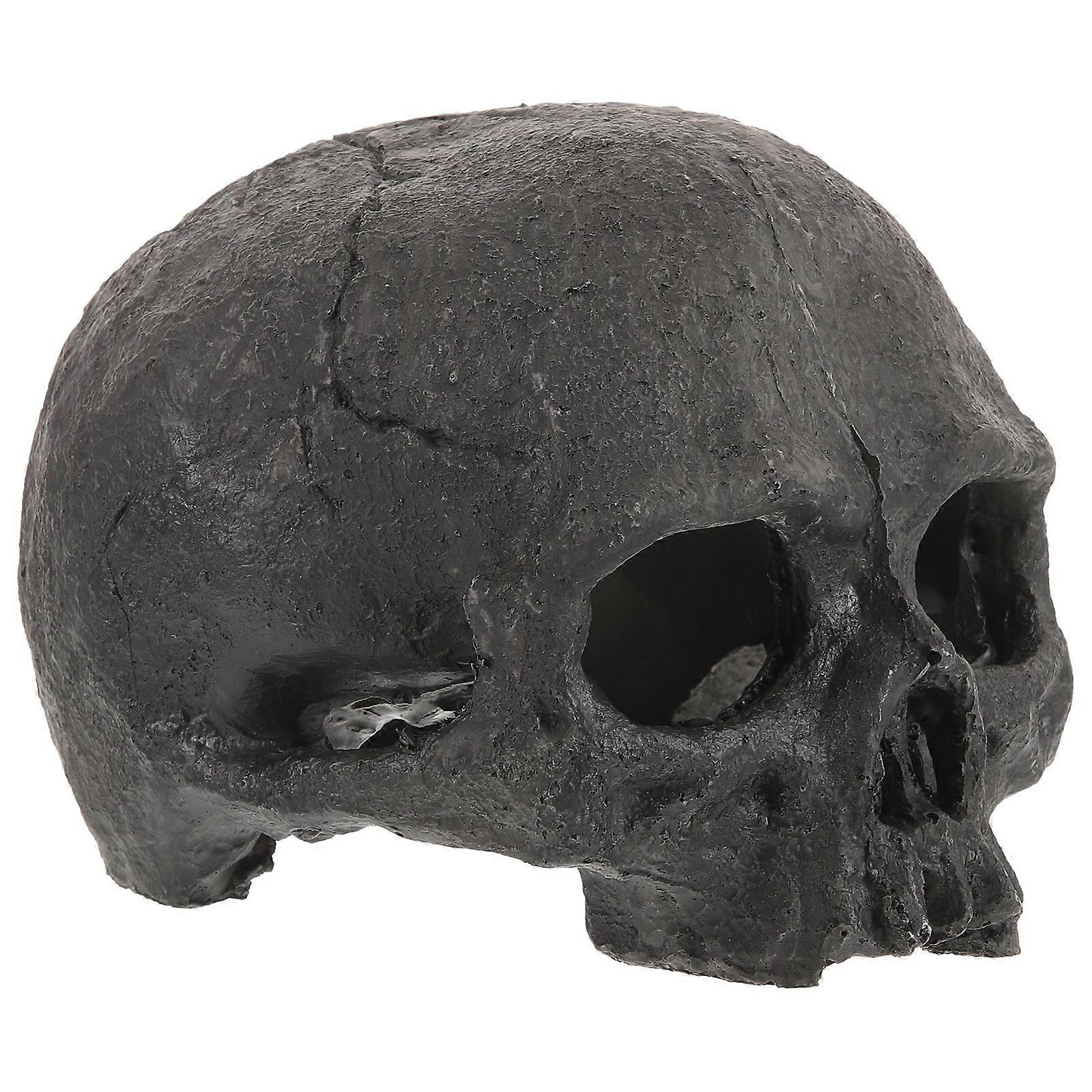 Resin Skull Cave Decoration For Aquatic Fish And Crawler Tank Fittings With 5.3×3.9×3.9in Size 1Pack