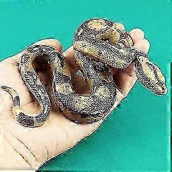 2025,Real Fake Snake Toy Model Toy Garden Props and Halloween Snake Toys High Simulation Rubber